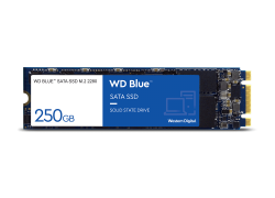 250GB WD Blue M.2 2280 SATA SSD